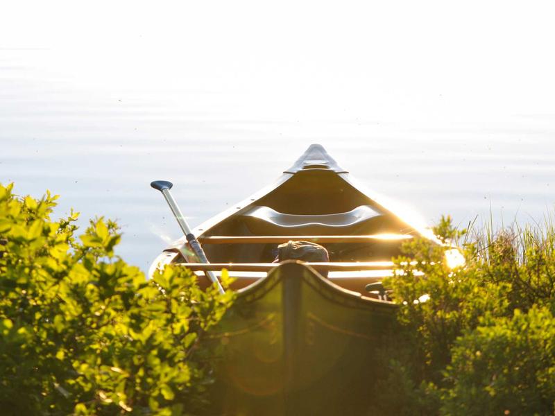 sudoku simple coloring